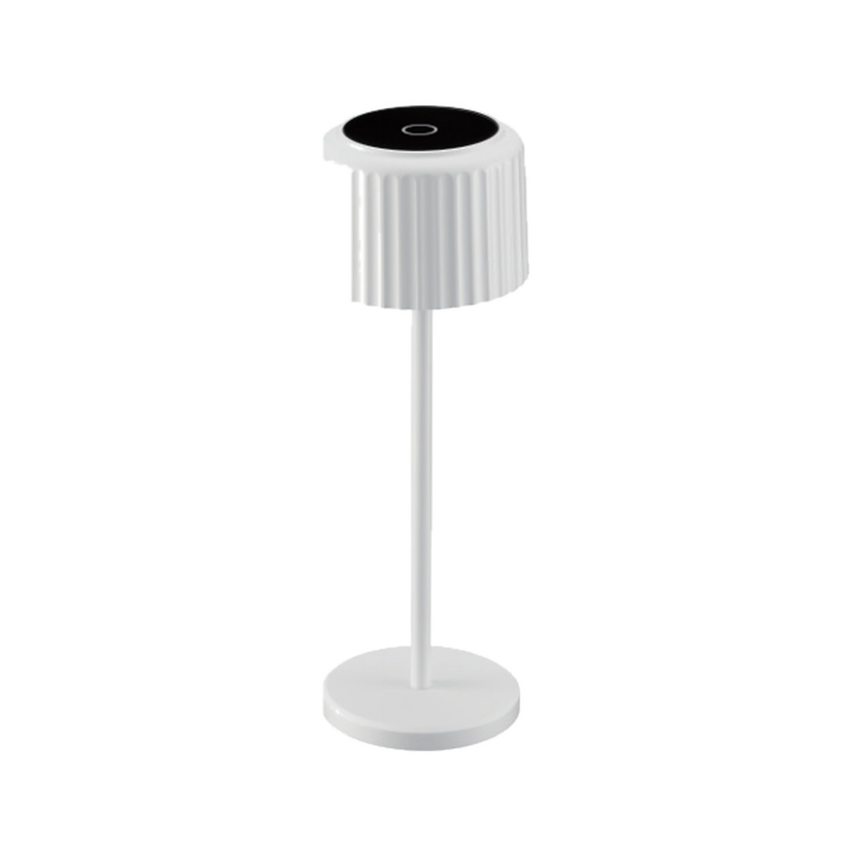 Portable Lights