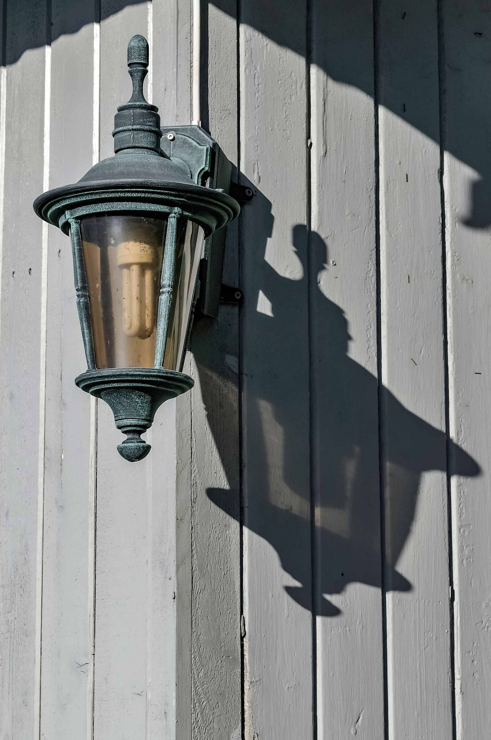 Outdoor wall light on a garden wall